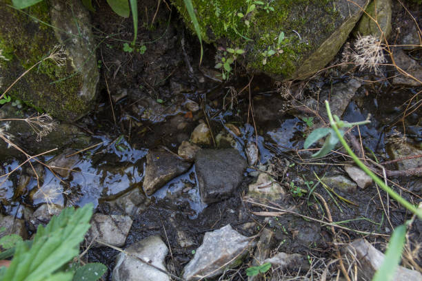 istock Spring water high in the mountains 1805275600