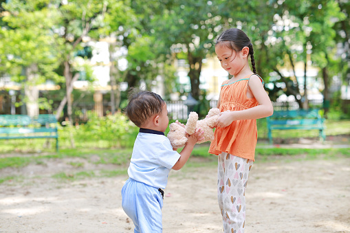 Satisfy little Asian sister scrambling teddy bear doll with her little brother in the park outdoor.