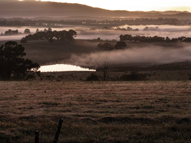 istock Moody cloud sunrise in valley 1805280591