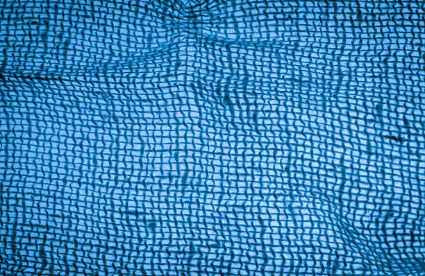 istock Medical gauze detail texture background 180529584