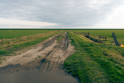 Uitzicht over de polder van Terschelling. Een onverhard pad doorsnijd het strakke landschap, in de verte de Waddendijk.