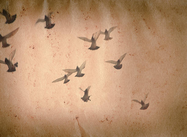 istock flying dove group old grunge paper texture 180530074