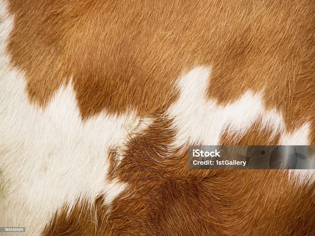 cow fur background cow fur background (9) Abstract Stock Photo