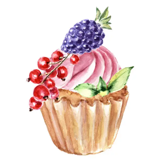 Vector illustration of Cupcake with cream and blackberries and red currants.