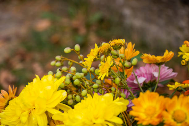 Autumn flowers bad for party decorations