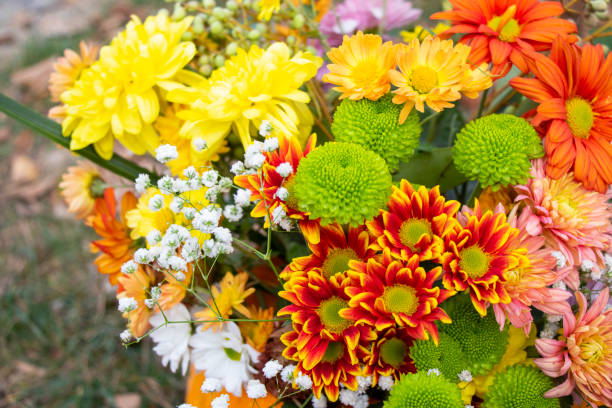 istock Autumn flowers bad 1805318073