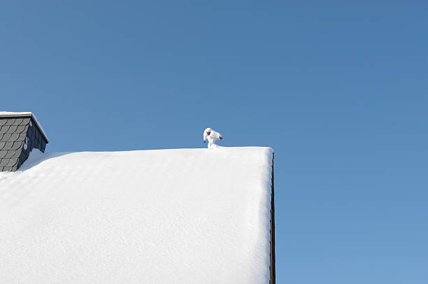 Snow-covered sleepwalkers.