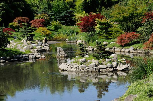 jardin japonnais - etan fotografías e imágenes de stock