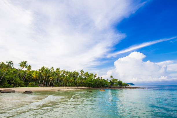 istock Island sea beach coconut palm tree against blue sky with cloud 1805327730