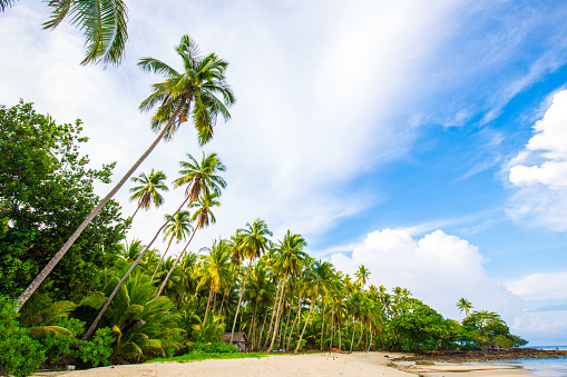 Island sea beach coconut palm tree against blue sky with cloud scenery of summer vacation