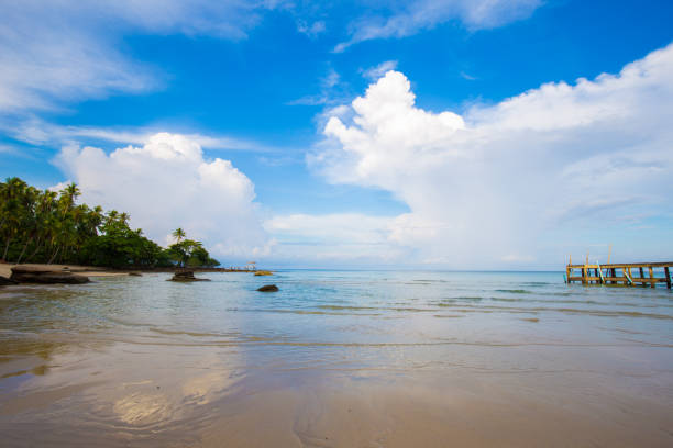istock Island sea beach coconut palm tree against blue sky with cloud 1805327734