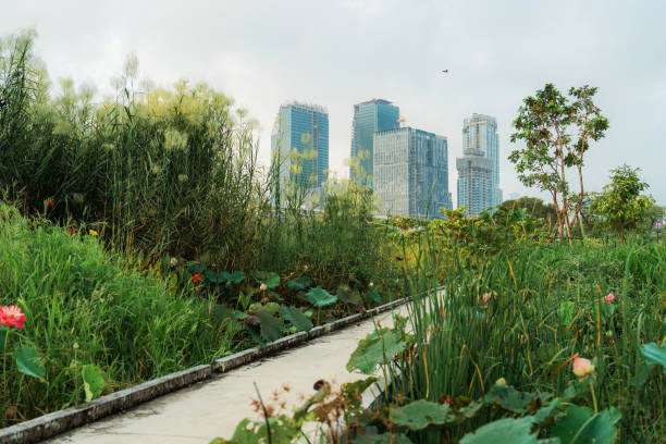 Nature reserve in the middle of downtown district