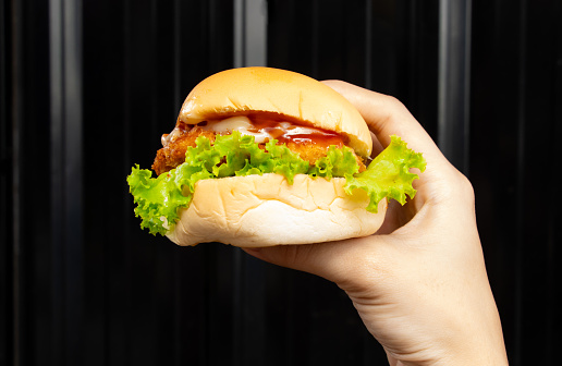 American fast food hamberger in woman hand.