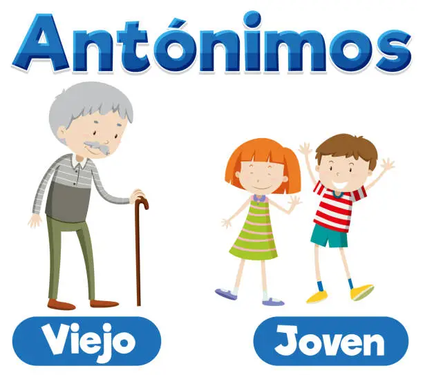 Vector illustration of Spanish Language Education: Viejo and Joven - Old and Young