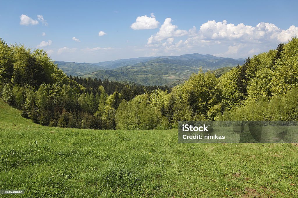 Paisaje de montaña en mayo.  Beskid, Polonia. - Foto de stock de Mayo - Mes libre de derechos