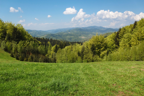 Mountain Landscape in May. Beskid, Poland.