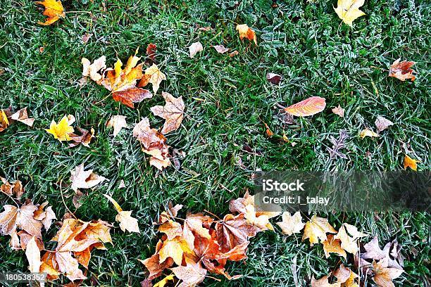 Gefrorene Herbst Leafs Stockfoto und mehr Bilder von Abgestorbene Pflanze - Abgestorbene Pflanze, Bedecken, Bildhintergrund