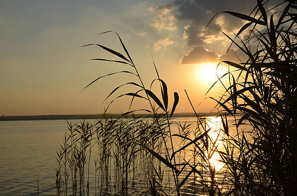 Beautiful sunset over a lake stock photo