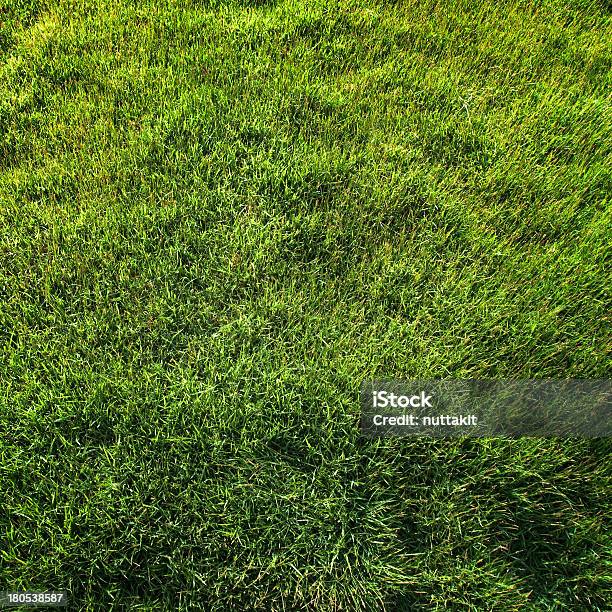 Verde Hierba Vista Superior Foto de stock y más banco de imágenes de Aire libre - Aire libre, Crecimiento, Cuadrado - Composición
