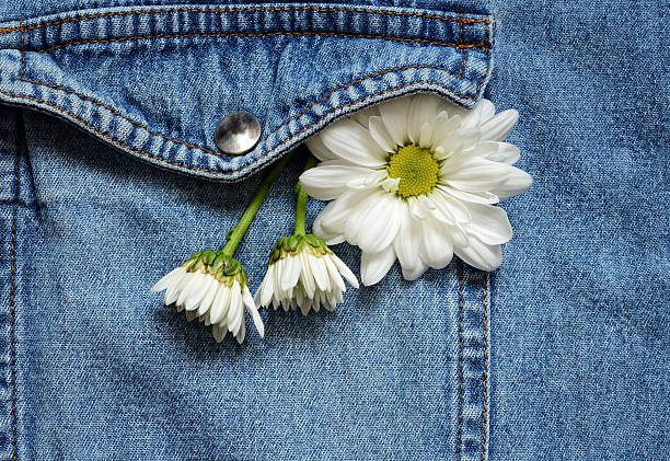 istock Chamomile in a shirt pocket 180538611