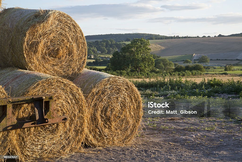 Sommer-Landschaft ein Haufen Heu bales - Lizenzfrei Agrarbetrieb Stock-Foto