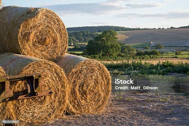 Sommerlandschaft Ein Haufen Heu Bales Stockfoto und mehr Bilder von Agrarbetrieb - Agrarbetrieb, Blau, Bunt - Farbton