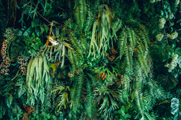 istock Close up group of background tropical green leaves texture and abstract background. Tropical leaf nature concept. 1805415708