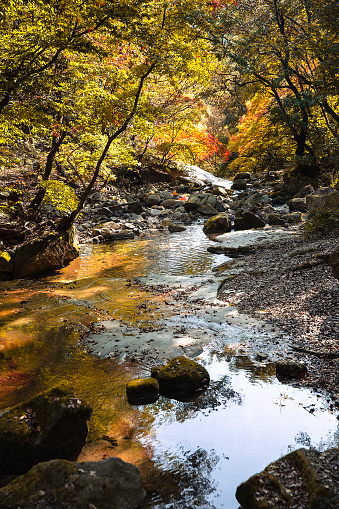 autumn valley