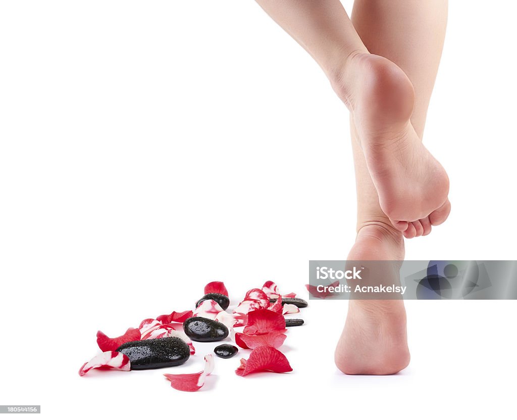 Female feet and Spa stones with rose petals Female feet and Spa stones with rose petals isolated on white background Pedicure Stock Photo