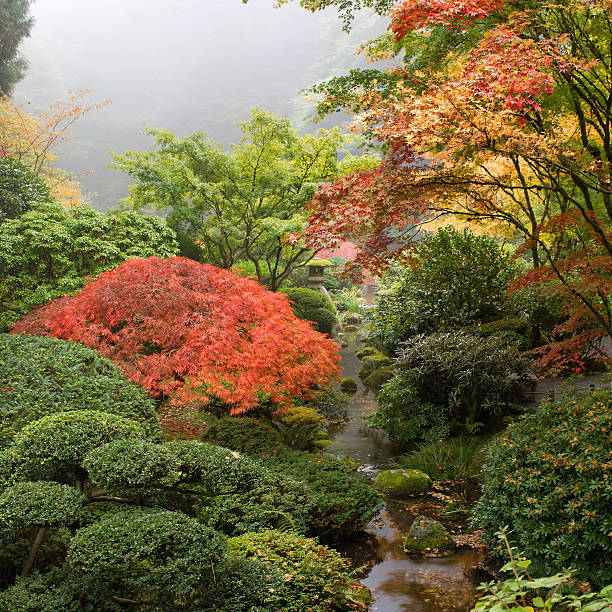istock Creek at Japanese Garden in the Fall 180544520