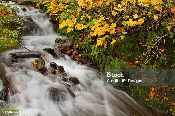 Wahkeenawasserfall Am Columbia River Gorge In Den Herbst Stockfoto und mehr Bilder von Bach