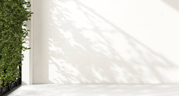 istock Blank clean outdoor concrete wall, floor in sunlight, tree foliage shadow through partition fence 1805452355