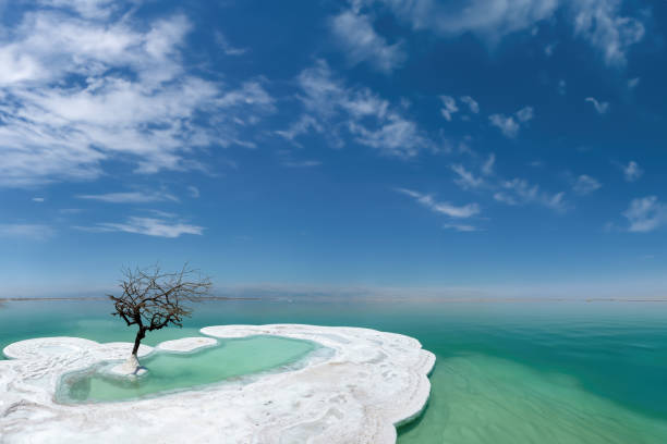 The Dead Sea, Jordan Dead Sea shore in Jordan. dead sea scrolls stock pictures, royalty-free photos & images