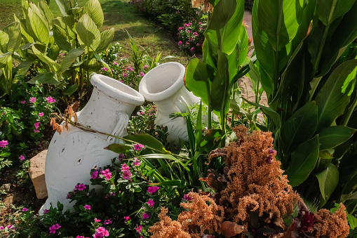 two white amphoras between green and colorful plants in a garden in egypt