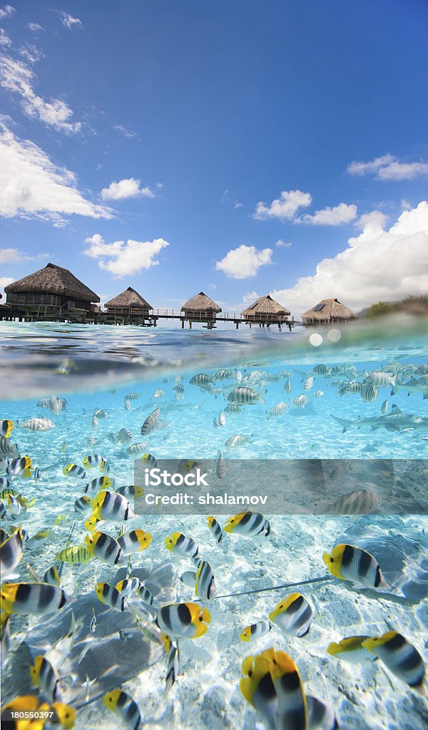 Paradis Tropical - Photo de Tahiti libre de droits
