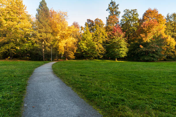 istock Autumn public park with meadow, path, colorful trees and clear sky 1805510298