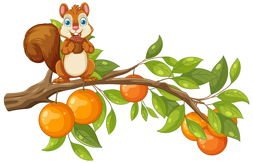 A cartoon illustration of a squirrel perched on an orange tree branch