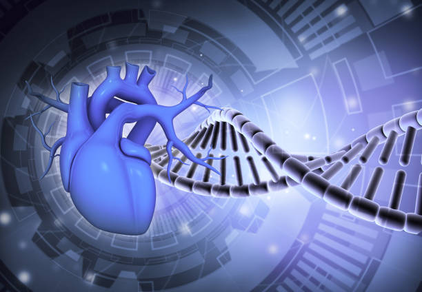 istock Human heart with dna strand on scientific background 1805545872