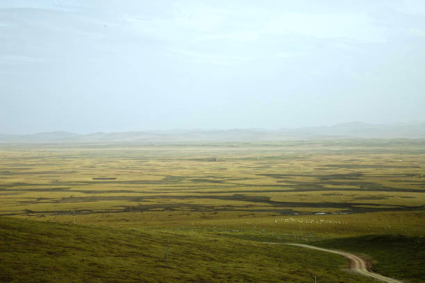 istock Autumn grassland in the Yellow River basin, intertwined river channels and distant mist create harmony 1805561096