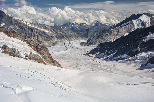 Summer on the Jungfrau with a view over the Aletsch glacier