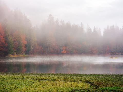 A breathtaking view of an autumn lake surrounded by trees reflected in the water on a misty day