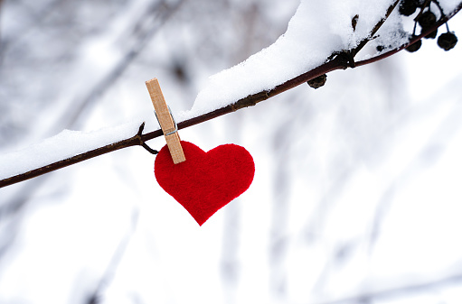 Red heart hanging on snowy branch. The concept of celebrating Valentine's Day. Banner. Close-up. Copy space. Selective focus.