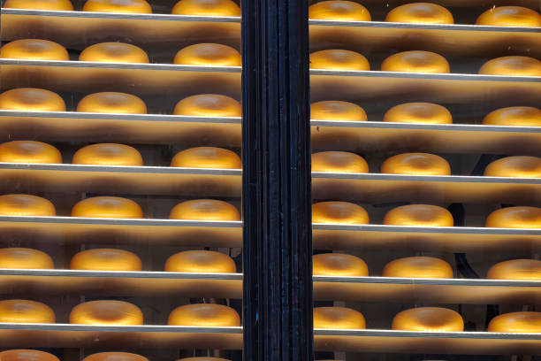 istock Gouda old dutch cheese on window in Amsterdam 1805606135