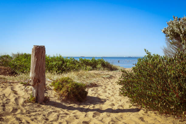 istock weathered fence post in beach sands and sea 1805615829