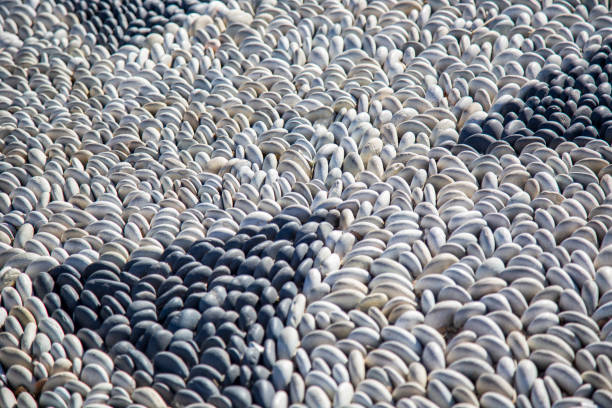 Beach pebbles