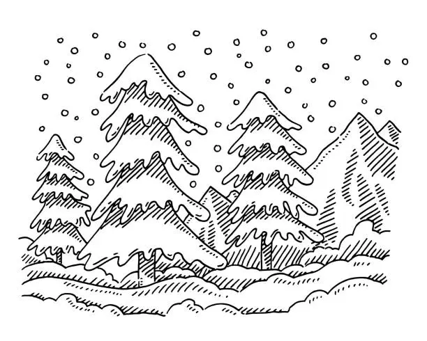 Vector illustration of Winter Fir Trees Landscape Drawing