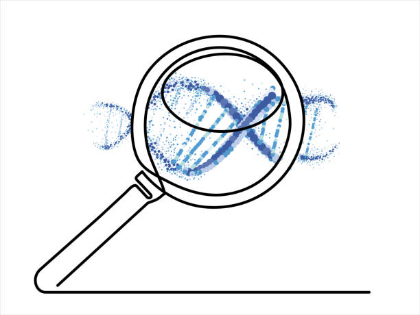 illustrazioni stock, clip art, cartoni animati e icone di tendenza di disegno continuo di una linea di lente d'ingrandimento con dna. illustrazione vettoriale.  può essere utilizzato per il logo, l'emblema, la presentazione e la bandiera. - microscope slide