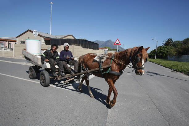 Horse driven carriage from the Carlsberg brewery in a street in Valby, a suburb to Copenhagen. This kind of carriages where a common sight in old days and a couple are still operating as an advertisement stunt