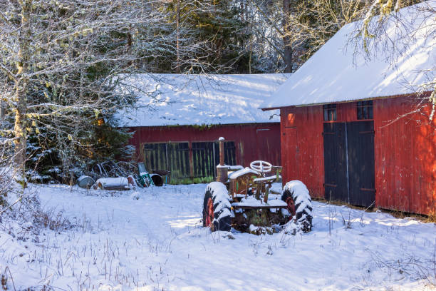 istock Old tractor by red barns on a cold winter day 1805647565