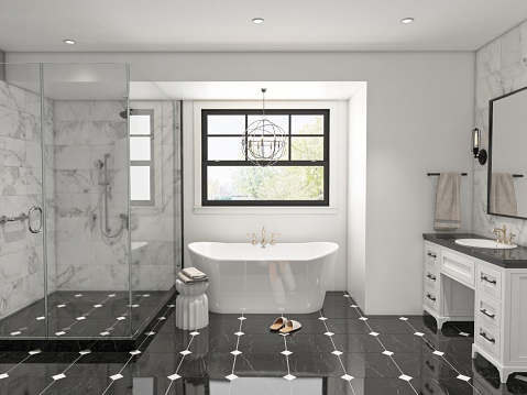 3D Render - Black and White Bathroom - Elegant, Modern